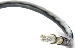 Insulated strand/wire, C829553001