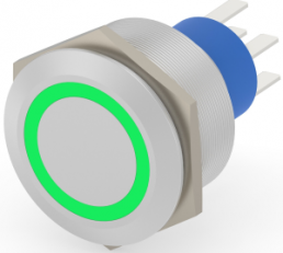 Switch, 2 pole, silver, illuminated  (green), 3 A/250 VAC, mounting Ø 25.2 mm, IP67, 2-2317656-7