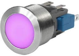 Pushbutton, 1 pole, silver, illuminated  (RGB), 10 A/250 V, mounting Ø 22 mm, IP67, 3-102-776