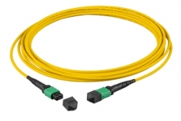 FO patch cable, 3 x MTP-F to 3 x MTP-F, 10 m, OS2, singlemode 9/125 µm