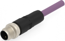 Sensor actuator cable, M12-cable plug, straight to open end, 2 pole, 0.5 m, PUR, purple, 4 A, TAB62135501-001