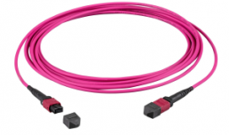FO patch cable, 6 x MTP-F to 6 x MTP-F, 5 m, OM4, multimode 50/125 µm