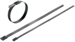 Cable tie, stainless steel, (L x W) 680 x 7.9 mm, bundle-Ø 20 to 200 mm, silver, -80 to 150 °C