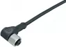 77 3734 0000 50004-0500 binder Sensor-Actuator Cables