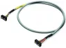 706-753/301-300 WAGO Sensor-Aktor Kabel