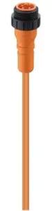 81233 Lumberg Automation Sensor-Aktor Kabel