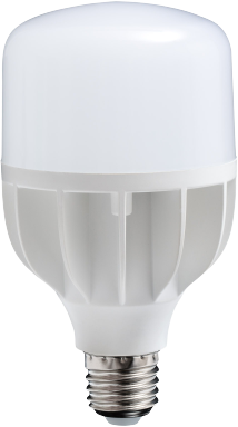 E15800 Daylight Lampen, Leuchtmittel