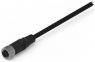 Sensor-Aktor Kabel, M12-Kabeldose, gerade auf offenes Ende, 4-polig, 2 m, PVC, schwarz, 5 A, 643622120304