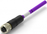 Sensor-Aktor Kabel, M12-Kabeldose, gerade auf offenes Ende, 2-polig, 6 m, PUR, violett, 4 A, TAB62335501-060