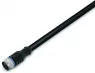 756-5301/030-050 WAGO Sensor-Aktor Kabel