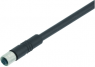 Sensor-Aktor Kabel, M5-Kabeldose, gerade auf offenes Ende, 4-polig, 2 m, PUR, schwarz, 1 A, 79 3108 52 04