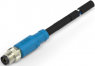 Sensor-Aktor Kabel, M8-Kabelstecker, gerade auf offenes Ende, 4-polig, 0.5 m, PVC, schwarz, 3 A, T4061110004-001