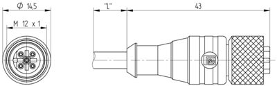 15022 Lumberg Automation Sensor-Aktor Kabel Bild 2