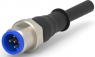 Sensor-Aktor Kabel, M12-Kabelstecker, gerade auf offenes Ende, 3-polig, 1.5 m, PVC, schwarz, 4 A, 1-2273022-1