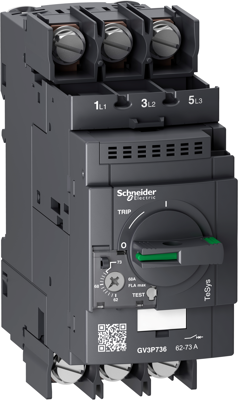 GV3P736 Schneider Electric Motorschutzschalter