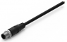 Sensor-Aktor Kabel, M12-Kabelstecker, gerade auf offenes Ende, 8-polig, 2 m, PVC, schwarz, 2 A, 643612120308