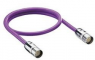 Sensor-Aktor Kabel, M23-Kabelstecker, gerade auf M23-Kabelstecker, gerade, 12-polig, 0.5 m, PUR, violett, 934636481