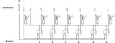 757-264/000-005 WAGO Sensor-Aktor Verteilerboxen Bild 3