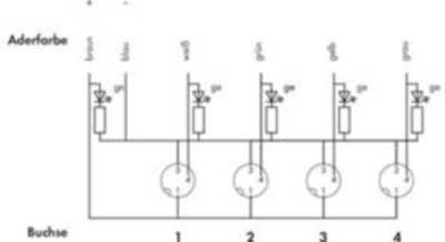 757-443/000-005 WAGO Sensor-Aktor Verteilerboxen Bild 3