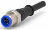 Sensor-Aktor Kabel, M12-Kabelstecker, gerade auf offenes Ende, 4-polig, 1.5 m, PVC, schwarz, 4 A, 1-2273028-1