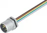 09 2451 100 05 binder Sensor-Actuator Cables