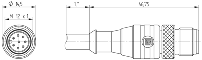 8818 Lumberg Automation Sensor-Aktor Kabel