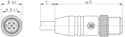 61633 Lumberg Automation Sensor-Actuator Cables Image 2