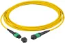 MTPF24MTPFOS2-15-A EFB Elektronik LWL Patchkabel, Pigtails