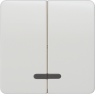 DELTA profil Wippe 2-fach mit Fenster für Serienschalter, titanweiß, 5TG7818