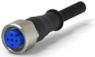 Sensor-Aktor Kabel, M12-Kabeldose, gerade auf offenes Ende, 4-polig, 1.5 m, PVC, schwarz, 4 A, 1-2273029-1