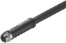 Sensor-Aktor Kabel, M12-Kabeldose, gerade auf offenes Ende, 3-polig, 5 m, PUR, schwarz, 12 A, 2049950500