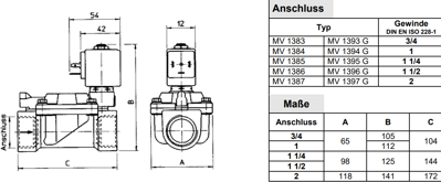 102960 Riegler Ventile Bild 2