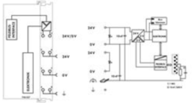 750-337/025-000 WAGO Bus coupler Image 3