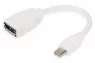 DisplayPort Adapterkabel, mini DP auf DP