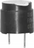 F/DG12 P Digisound Akustische Signalgeber