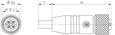 24553 Lumberg Automation Sensor-Aktor Kabel Bild 2