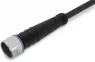 756-5101/030-100 WAGO Sensor-Aktor Kabel