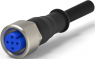Sensor-Aktor Kabel, M12-Kabeldose, gerade auf offenes Ende, 3-polig, 1.5 m, PVC, schwarz, 4 A, 1-2273023-1