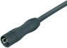 Sensor-Aktor Kabel, Kabelstecker, gerade auf offenes Ende, 12-polig, 2 m, PUR, schwarz, 2 A, 77 6405 0000 50012-0200