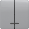 DELTA profil Wippe 2-fach mit Fenster für Serienschalter, silber, 5TG7938