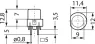 B6-R-SCHWARZ Tactile Switches