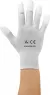 C-199 2817DR-M BJZ ESD-Handschuhe, Handgelenkbänder, Fersenbänder, Überziehschuhe