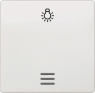 DELTA i-system Wippe mit Fenster und Symbol Licht,titanweiß, 5TG6206