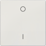 DELTA style Wippe mit Symbolen I/O für Ausschalter, platinmetallic, 5TG71421