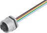 Sensor-Aktor Kabel, 7/8"-Flanschbuchse, gerade auf offenes Ende, 4-polig, 0.2 m, 7 A, 09 2448 100 04