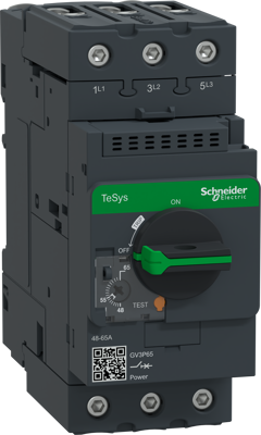 GV3P65 Schneider Electric Motorschutzschalter