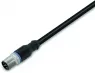 756-5311/030-100 WAGO Sensor-Aktor Kabel