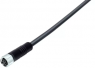 Sensor-Aktor Kabel, M8-Kabeldose, gerade auf offenes Ende, 3-polig, 5 m, PUR, schwarz, 4 A, 77 3706 0000 50003-0500