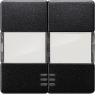 DELTA i-system Wippe 2-fach mit Schriftfeld und Fenster für Serienschalter,ca..., 5TG6233