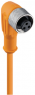Sensor-Aktor Kabel, M12-Kabeldose, abgewinkelt auf offenes Ende, 3-polig, 2 m, PVC, orange, 4 A, 11430